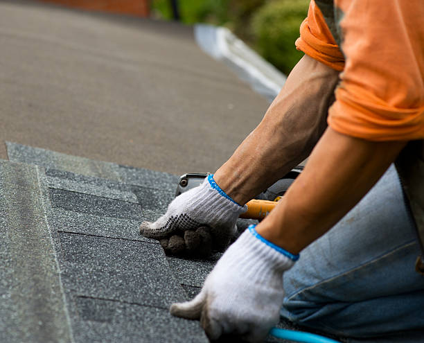Best Commercial Roofing Services  in Wahneta, FL